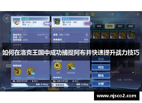 如何在洛克王国中成功捕捉阿布并快速提升战力技巧 如何在洛克王国中成功捕捉阿布并快速提升战力技巧